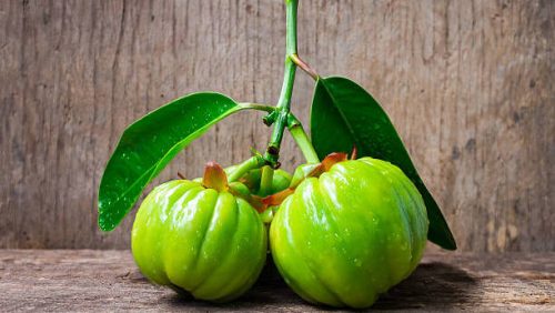 Garcinia Cambogia