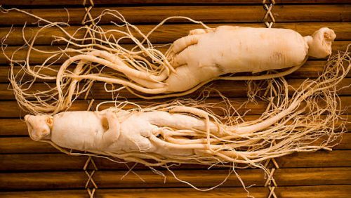 Ginseng