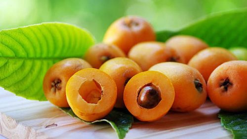 Loquat (Pei Pa Kao)