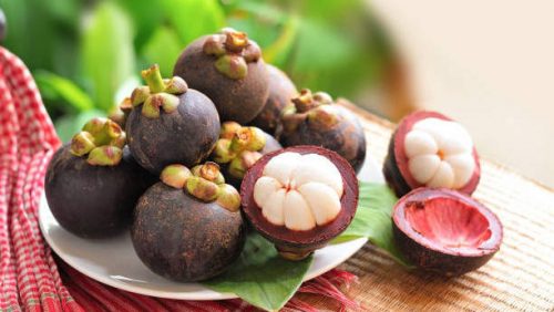 Mangosteen