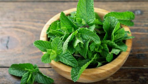 Peppermint Leaf