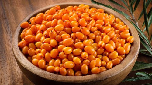 Sea Buckthorn