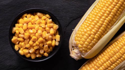 Sweet Corn