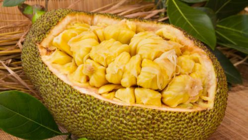 Jackfruit