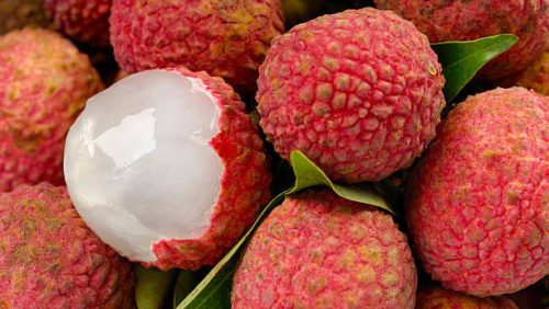 Lychee