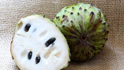 Soursop